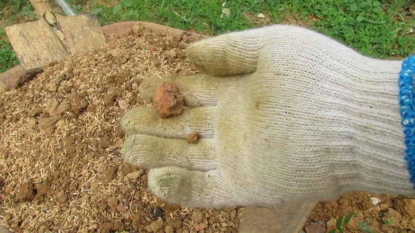 Với mỗi vùng miền, loại đất tỷ lệ đất trộn sẽ có sự thay đổi