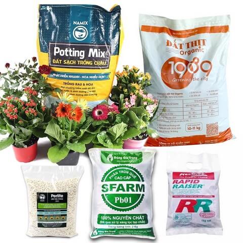 Nên chọn mua đất trồng hoa hồng của đơn vị cung cấp uy tín