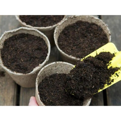 Đất sạch Tribat thường được dùng trồng hoa hồng trong chậu