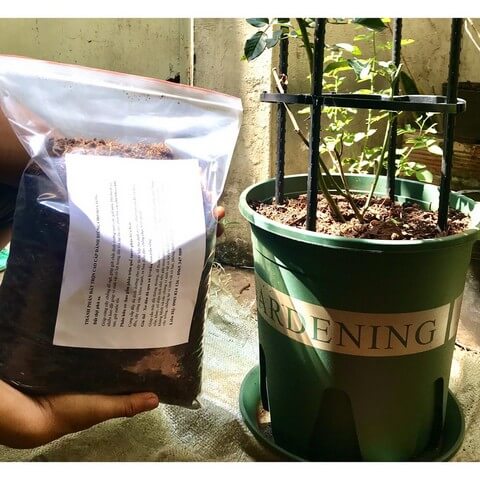 Đất trồng hồng thường bán dưới dạng sản phẩm đóng gói kín ở nhiều mức giá