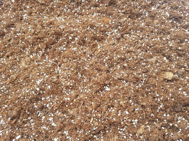 Xử lý đất trồng nhằm mục đích chính là mang đến môi trường đất sạch bệnh