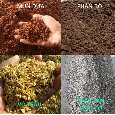 Mỗi loại giá thể hữu cơ sẽ có cách xử lý khác nhau