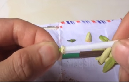 Kỹ thuật lấy phấn hoa đơn lẻ