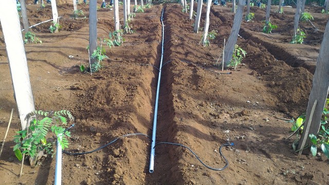 Béc tưới nông nghiệp có những loại nào?