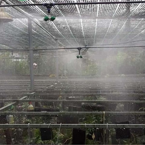 Béc tưới nhỏ giọt thường được lắp đặt ở từng gốc cây