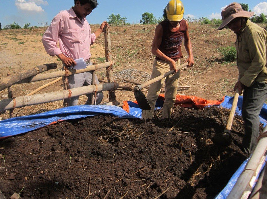 Cách chọn mua phân bò ủ hoai chất lượng cho nhà nông 2