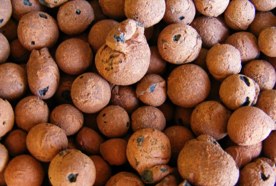 Cách dùng viên đất nung trồng sen đá xinh yêu đơn giản 1