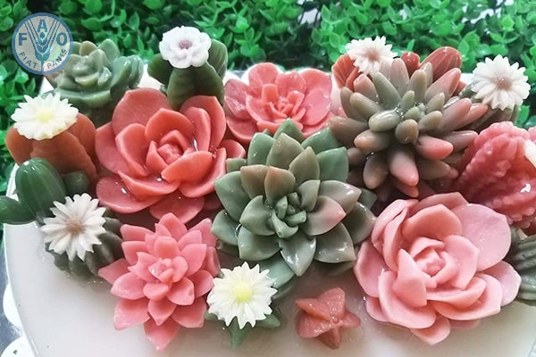 Cách dùng viên đất nung trồng sen đá xinh yêu đơn giản 2