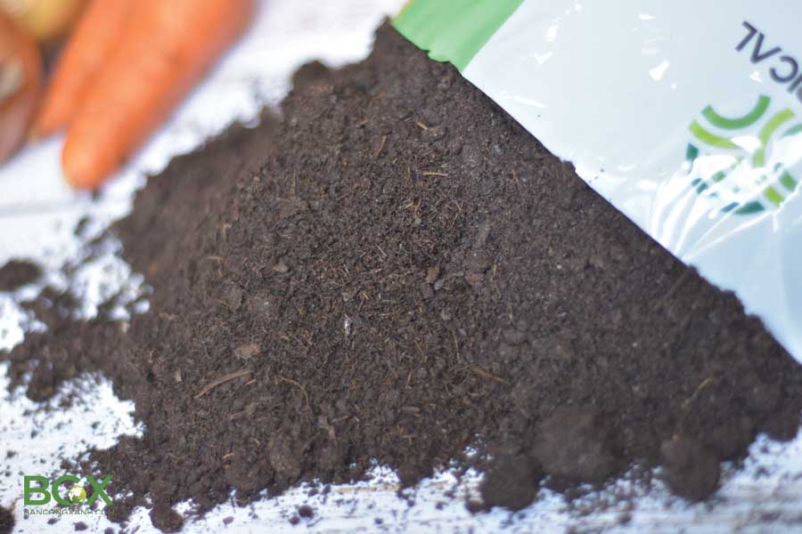 Cách sử dụng phân bò trồng rau sạch tại nhà 2