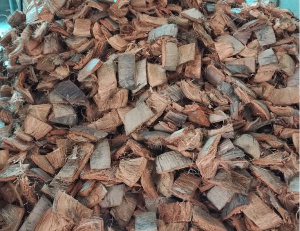 Cách xử lý xơ dừa trồng cây hiệu quả và đạt năng suất cao 1