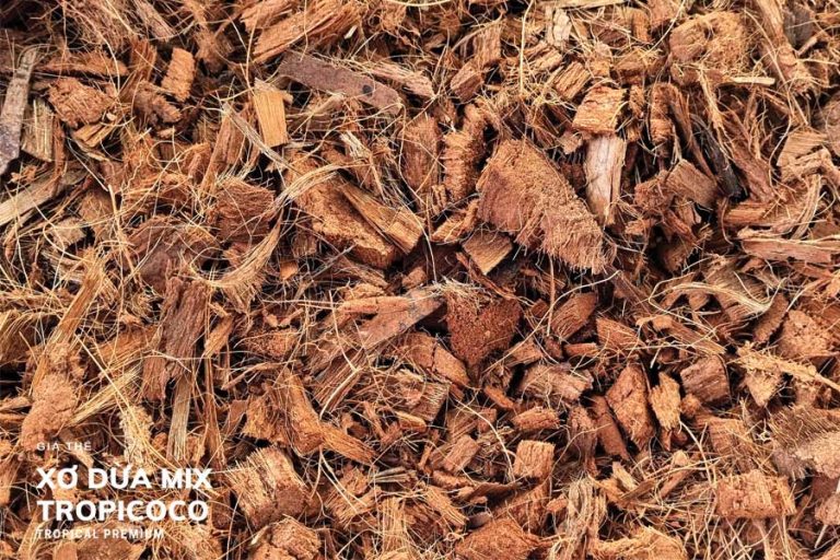 Cách xử lý xơ dừa trồng cây hiệu quả và đạt năng suất cao 3