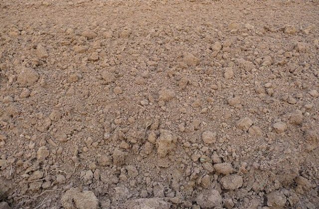 vai trò của viên đất nung trong cải tạo đất trồng 2