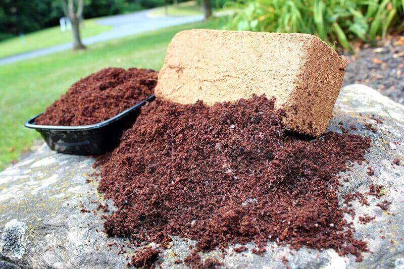 Viên nén xơ dừa ươm cây là gì - Cách sử dụng viên nén xơ dừa 1