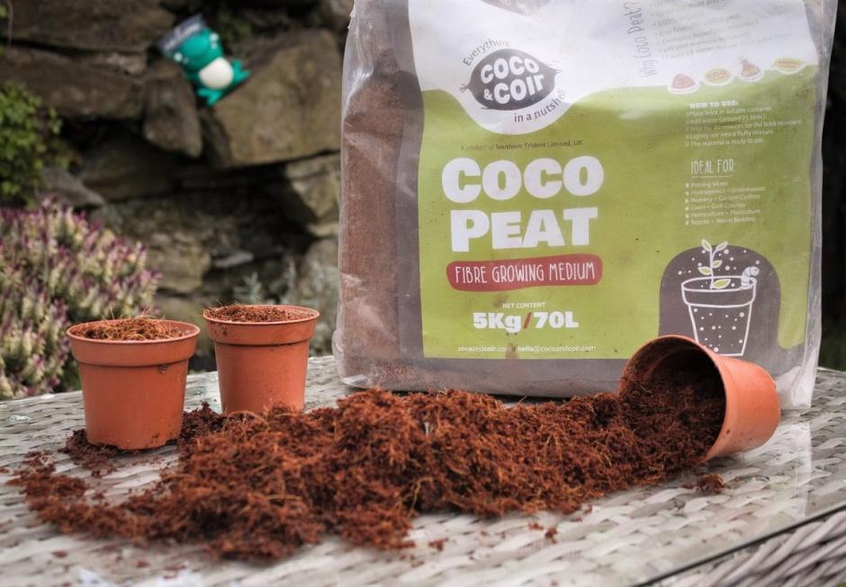 Cách sử dụng mụn xơ dừa trồng cây 1