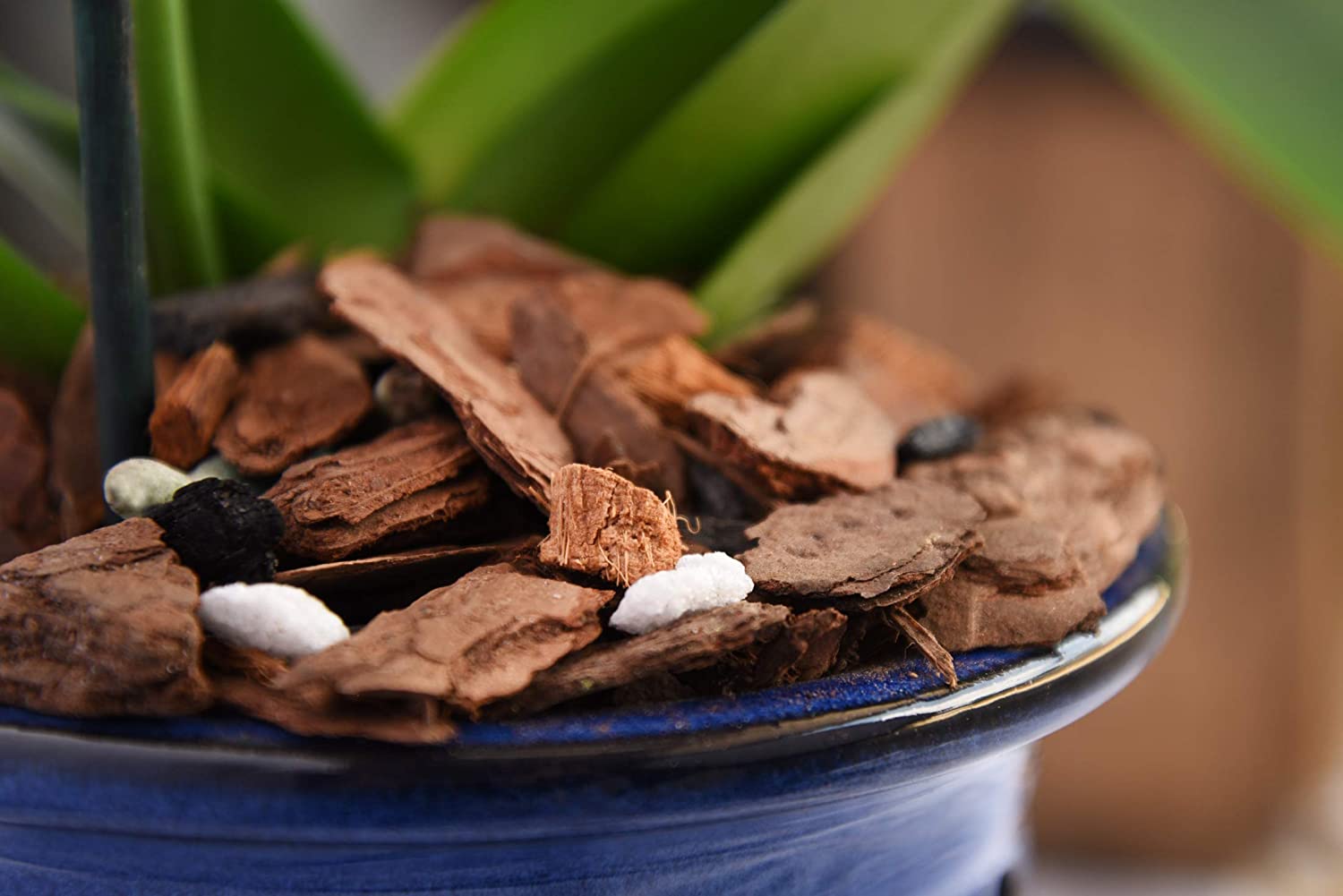 Vấn đề thường gặp khi sử dụng vỏ thông trong trồng trọt 1