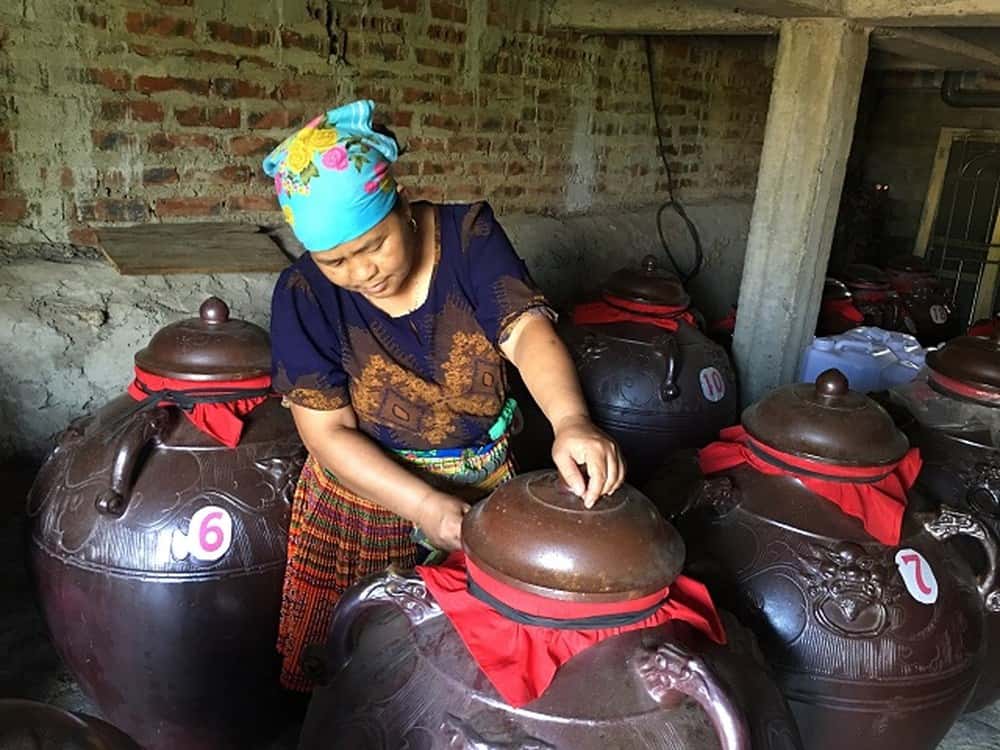 Rượu Sán Lùng truyền thống Tây Bắc trứ danh 4