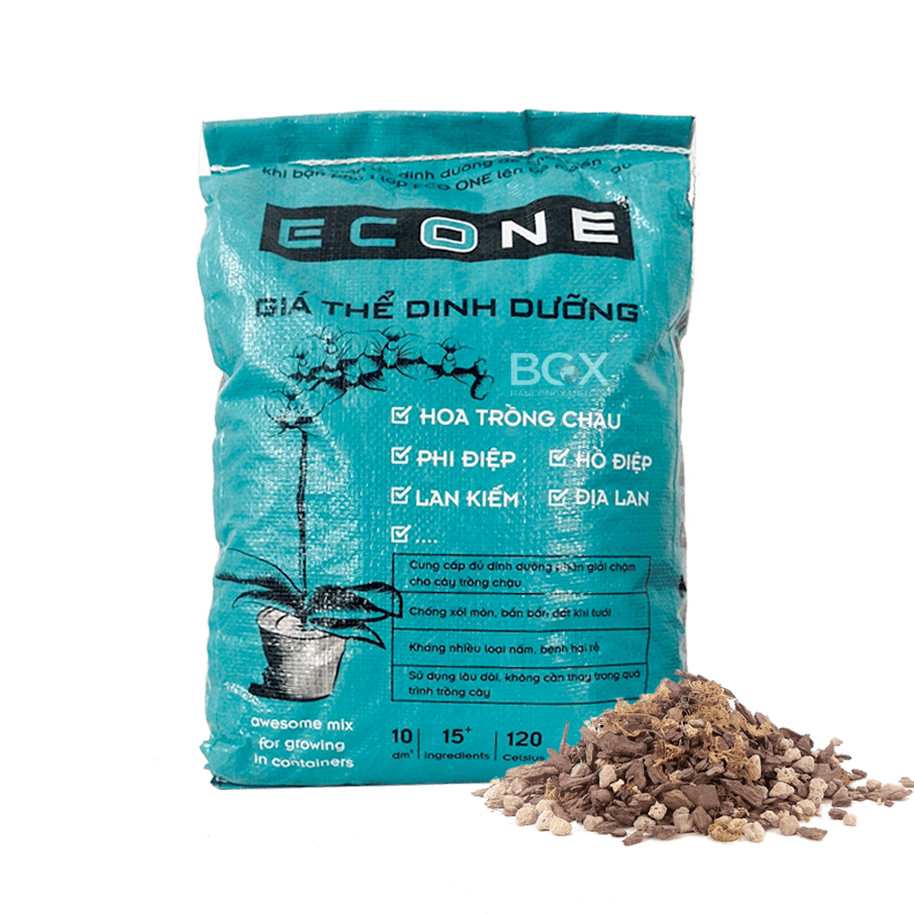 Giới thiệu mua giá thể trồng lan tại quận 7 HCM 1