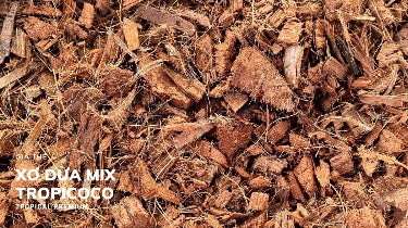 Mua giá thể xơ dừa tại quận 7 HCM đảm bảo chất lượng, giá rẻ 2