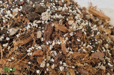 Mua giá thể xơ dừa tại quận 7 HCM đảm bảo chất lượng, giá rẻ 3