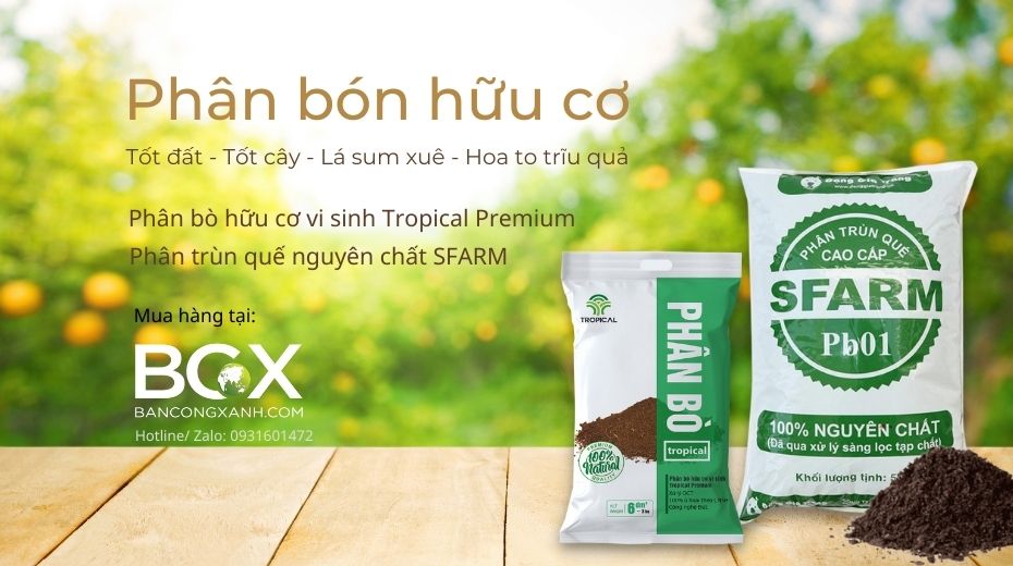 Mua phân bò chất lượng tại quận 7 HCM nhanh và dễ dàng nhất 3