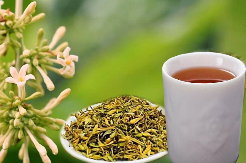 trà hoa đu đủ đực chữa ung thư