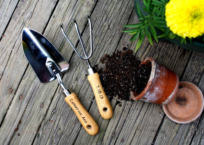 Địa chỉ mua dụng cụ làm vườn tốt nhất tại quận 7 HCM 2