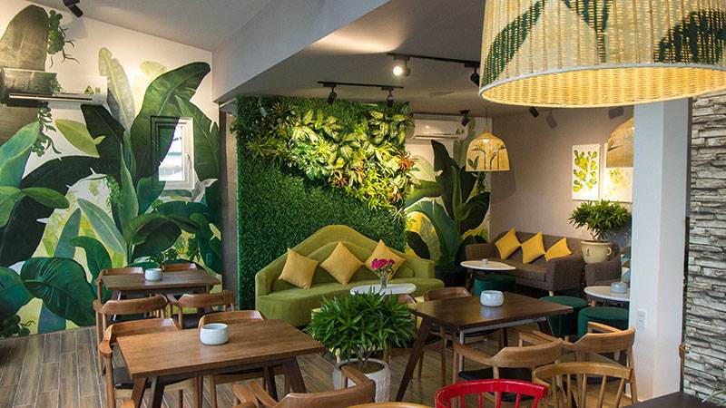 Thu hút khách hàng với bí quyết trang trí cafe sân vườn cùng cây trầu bà 4