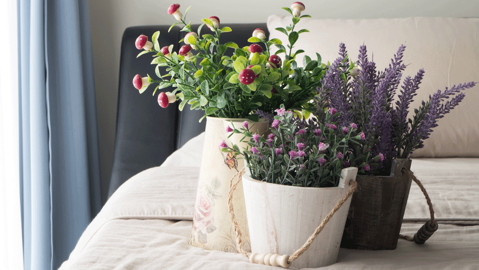 Tại sao nên đặt hoa oải hương trong phòng ngủ? 3