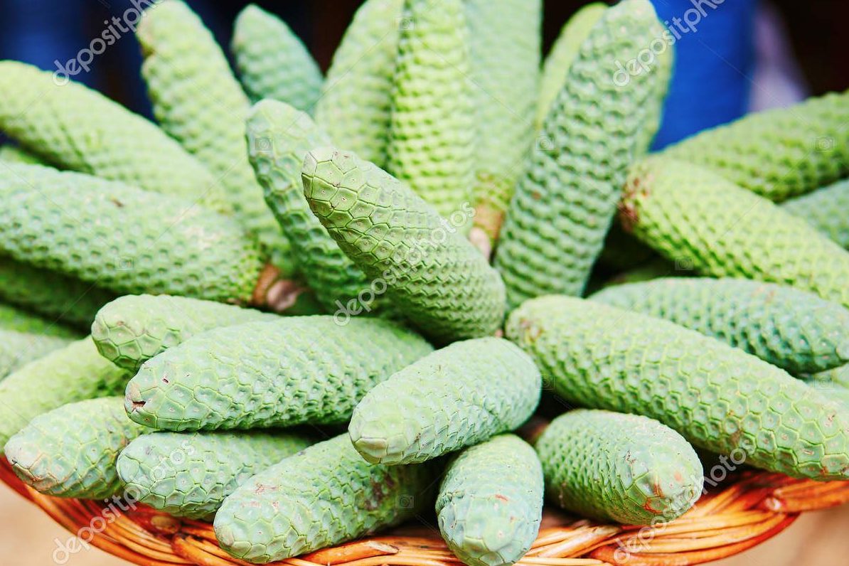 Quả cây Monstera ăn được không 2