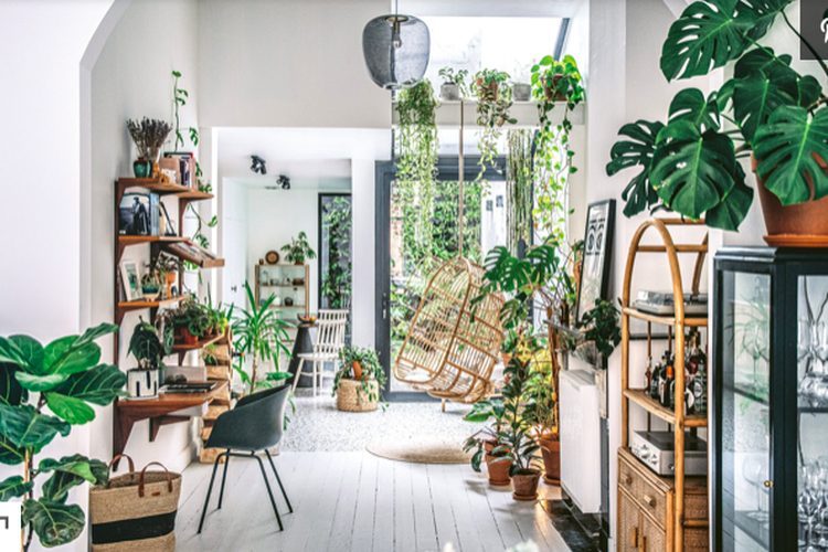 Bí quyết trồng cây cảnh ở chung cư 2