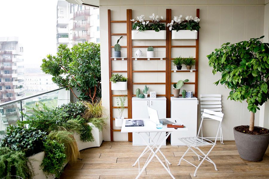 Bí quyết trồng cây cảnh ở chung cư 3