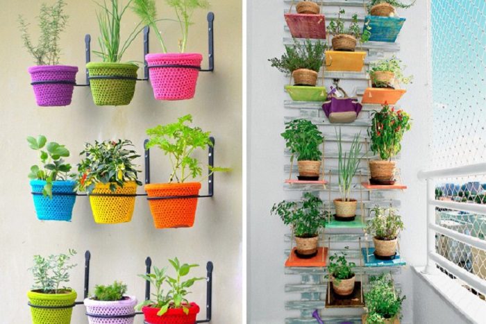 Bí quyết trồng cây cảnh ở chung cư 4