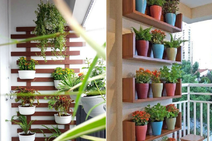 Bí quyết trồng cây cảnh ở chung cư 5