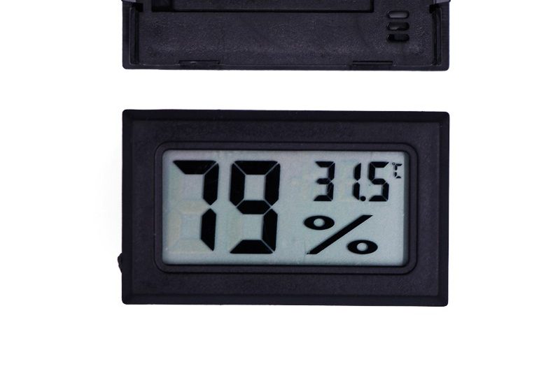 Top 6 cách cải thiện độ ẩm cho Monstera 4