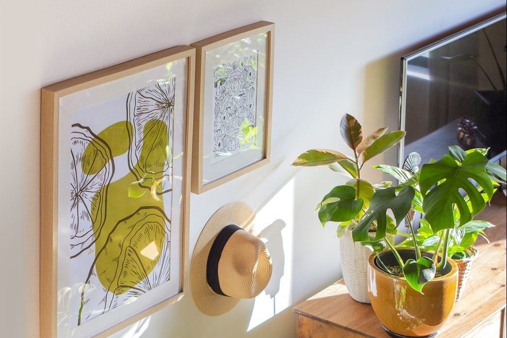 Top 6 cách cải thiện độ ẩm cho Monstera 6