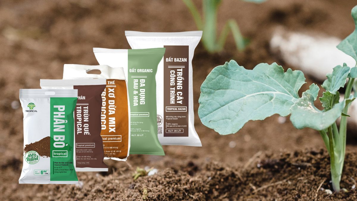 Chọn đất trồng rau sân thượng chuẩn từ A tới Z