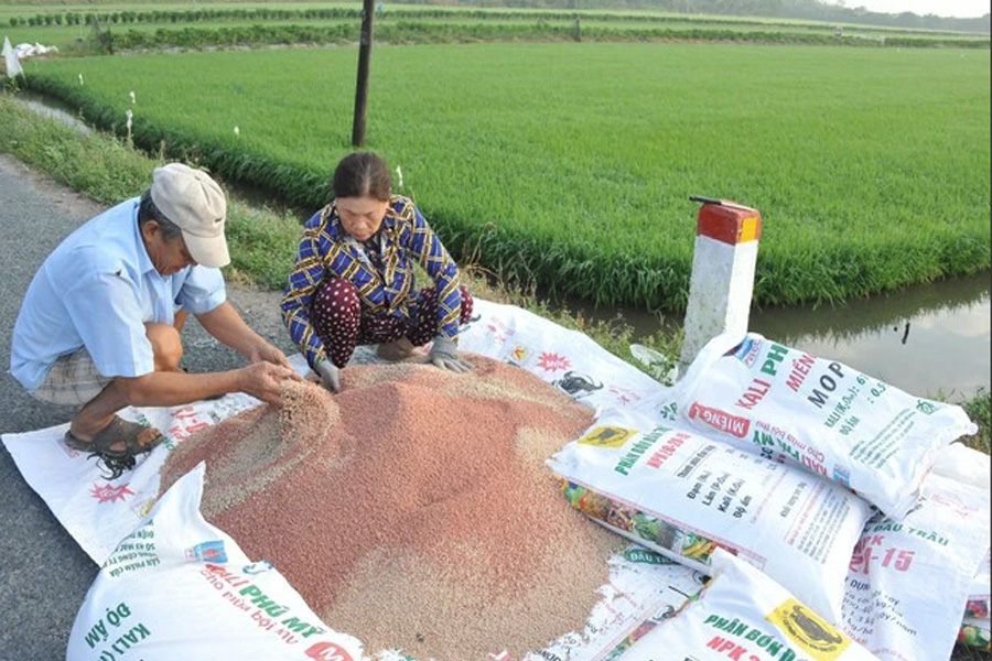 Giá phân bón nhiều nơi tăng