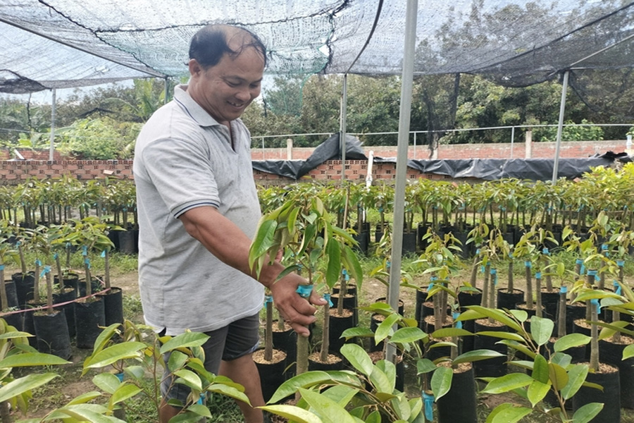 Tiền Giang siết chặt quản lý chất lượng giống cây trồng