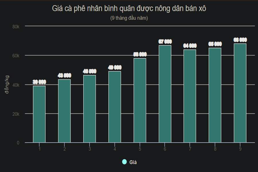 Giá cà phê lập đỉnh mới, nông dân không có hàng bán