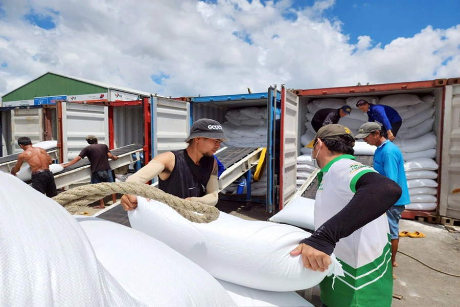 Ấn Độ xem xét giảm giá sàn xuất khẩu gạo basmati