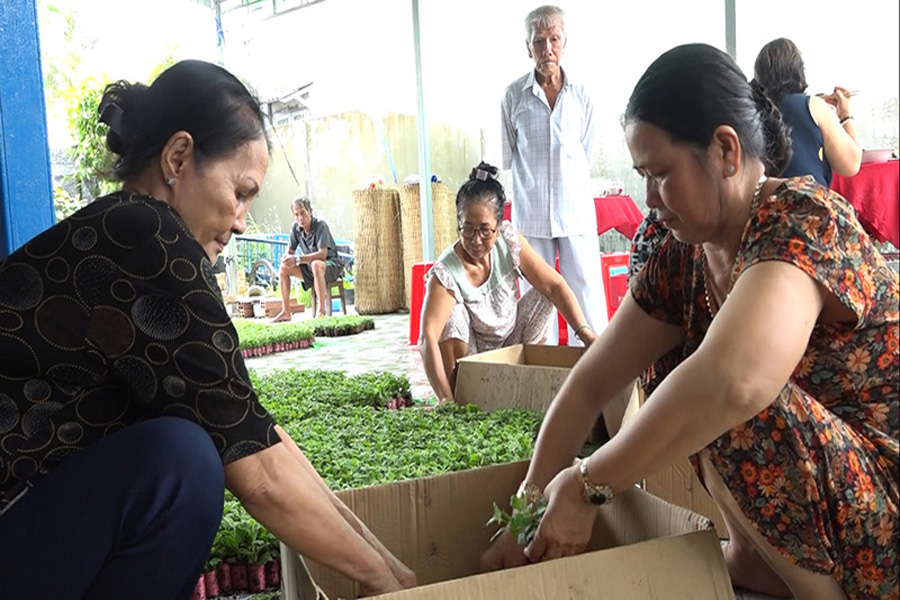 Nhà vườn ở miền Tây dè dặt trồng hoa Tết