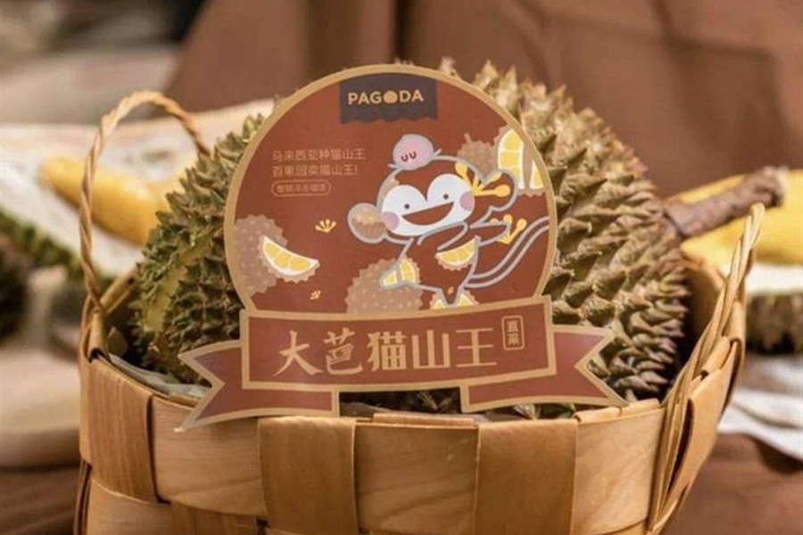 Sầu riêng tươi Malaysia sắp thâm nhập thị trường Trung Quốc