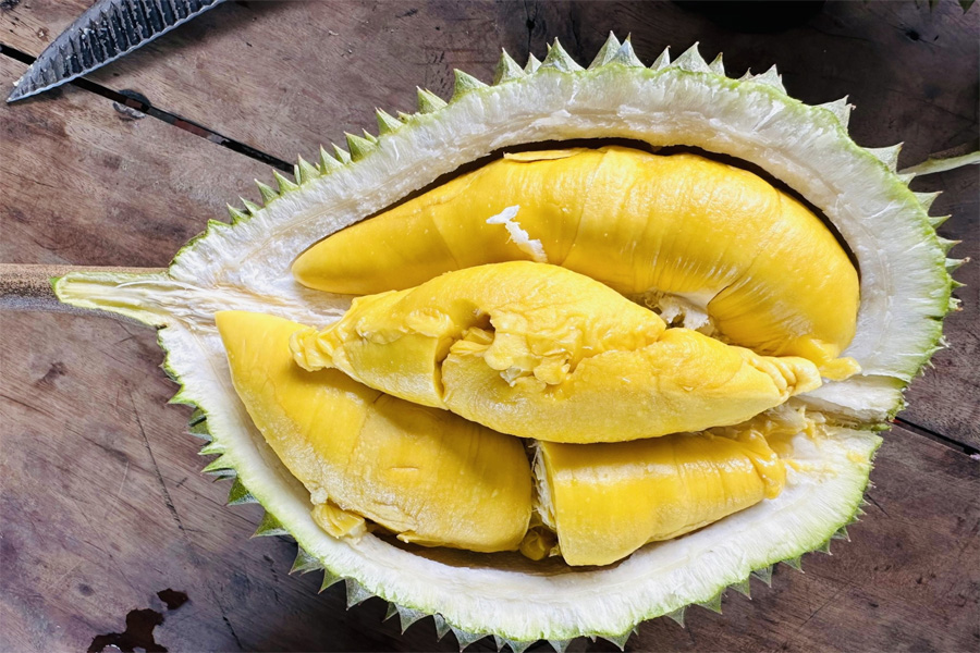 Sầu riêng Musang King trồng ở Việt Nam giá thấp kỷ lục