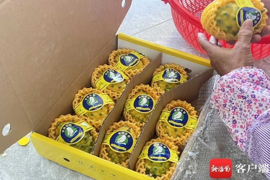 Bùng nổ sản xuất thanh long vàng ở Trung Quốc