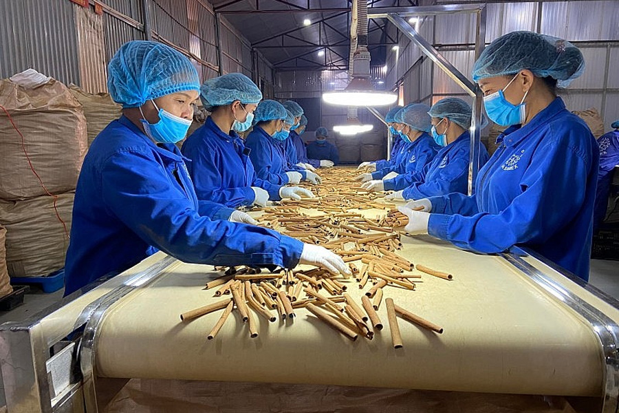 Ngành gia vị có thể thu 2 tỷ USD nếu truy xuất nguồn gốc rõ ràng