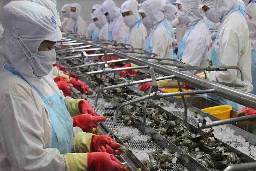 Xuất khẩu thủy sản đón nhận nhiều tín hiệu tích cực