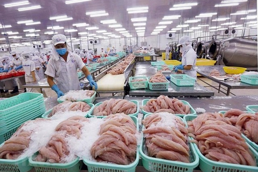 Xuất khẩu thủy sản đón nhận nhiều tín hiệu tích cực