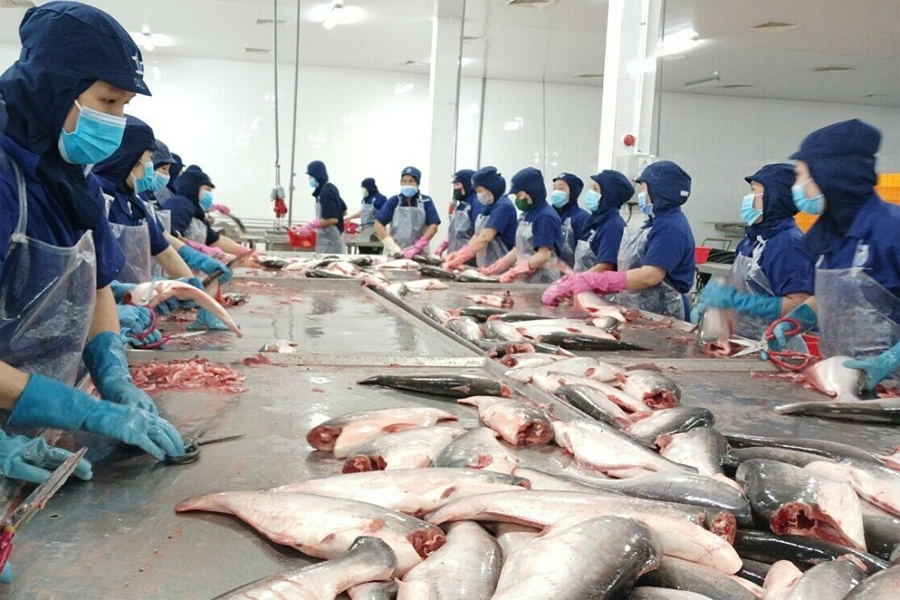 Xuất khẩu thủy sản giảm mạnh tại 5 thị trường chính