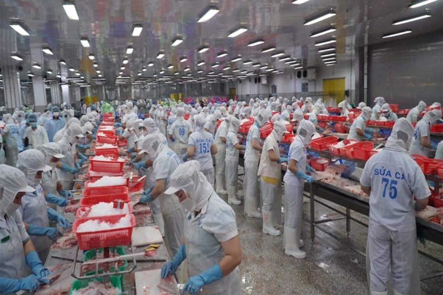 Xuất khẩu thủy sản giảm mạnh tại 5 thị trường chính