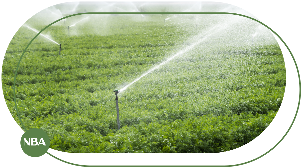 Top 5 béc tưới cây giá rẻ